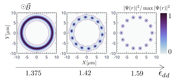 dipolar bec in a ring